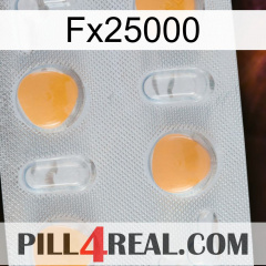 Fx25000 24